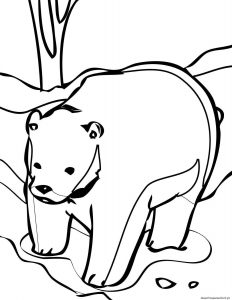 Read more about the article Desenhos de ursos para imprimir e pintar 10
